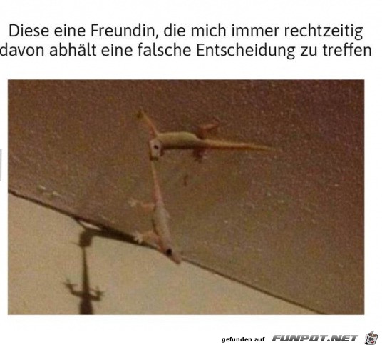 Diese eine Freundin