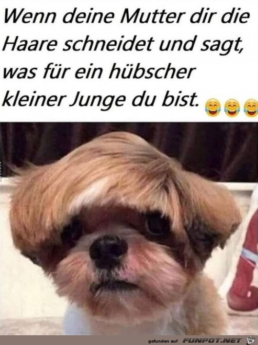 toller Haarschnitt