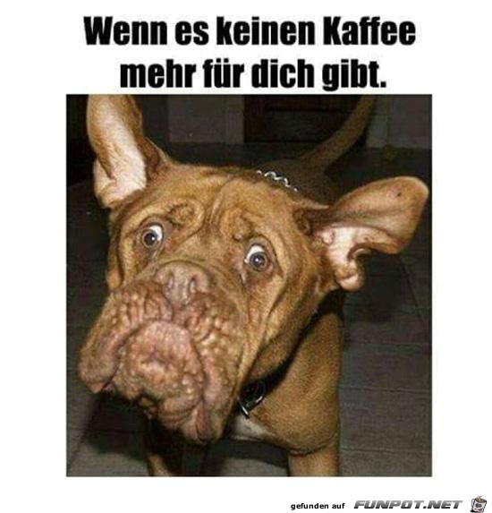 Keinen Kaffee