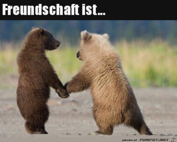 Freundschaft