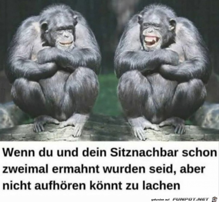 Lachflash