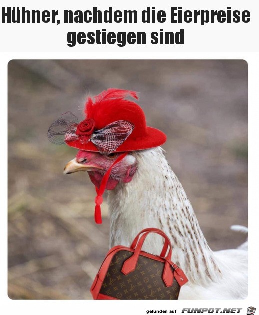 Schickes Huhn