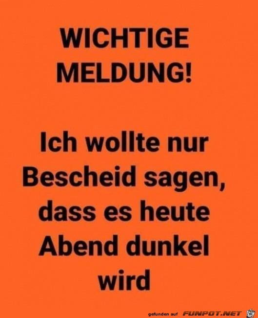 Meldung