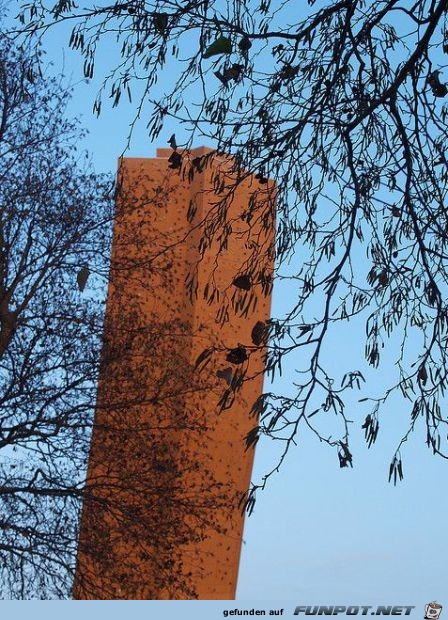 Hchste freistehende Kletterwand der Welt