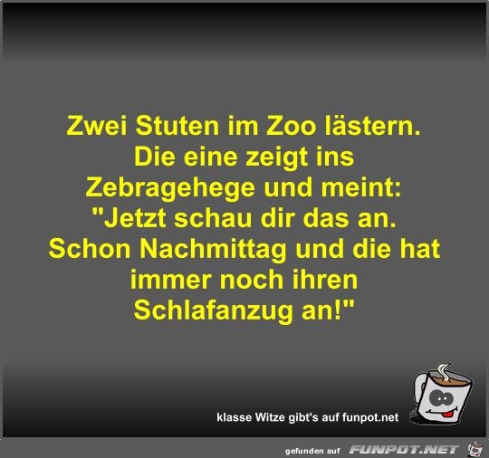 Zwei Stuten im Zoo lstern