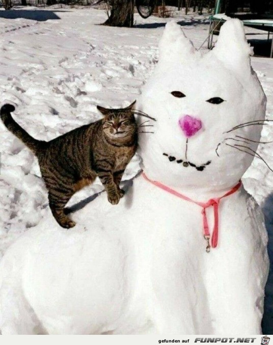 Katze liebt ihre Schneekatze
