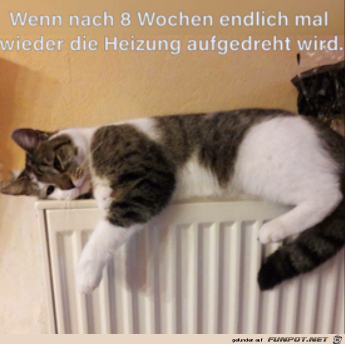 Endlich wieder warm