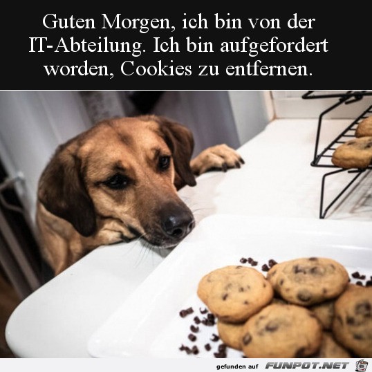 Ich soll Cookies entfernen