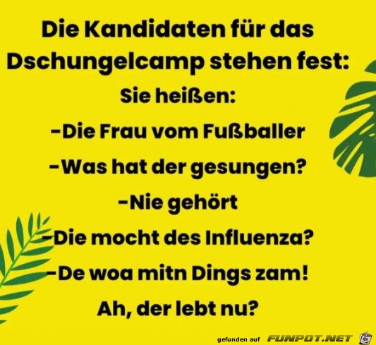 Tolle Kandidaten