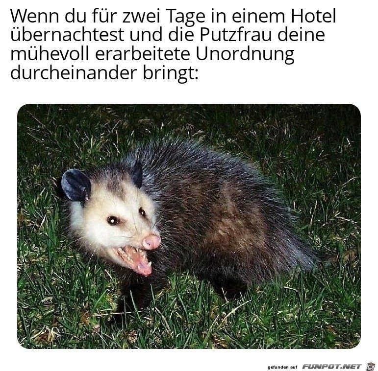 Das geht doch auch nicht