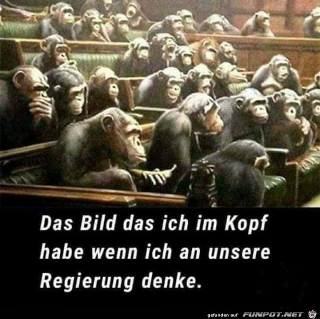 Das Bild Das Bild