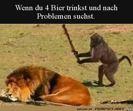 Wenn du nach Problemen suchst