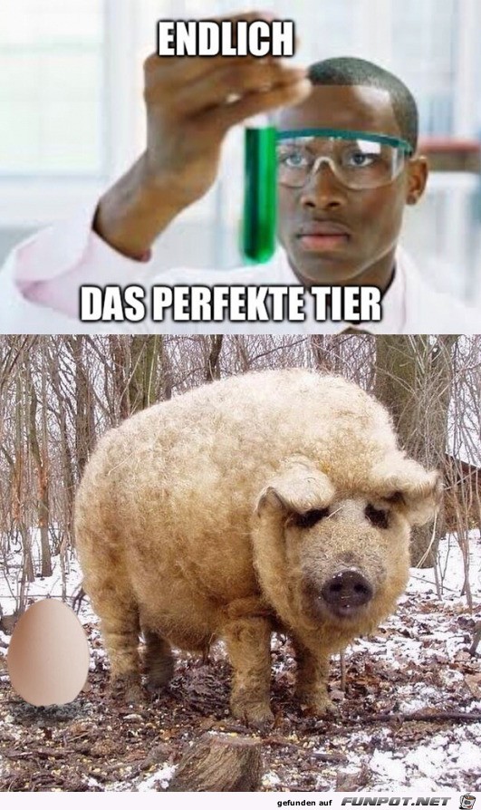 Das perfekte Tier