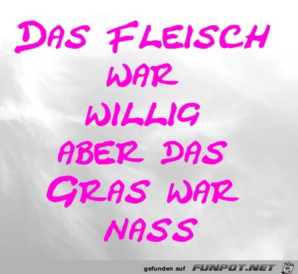 Das Fleisch war willig