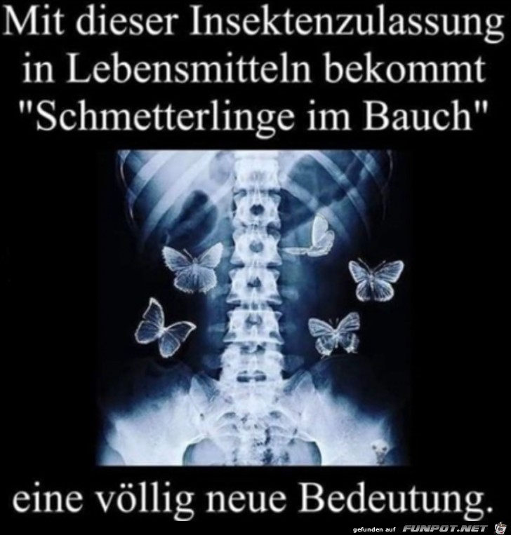 Schmetterlinge im Bauch