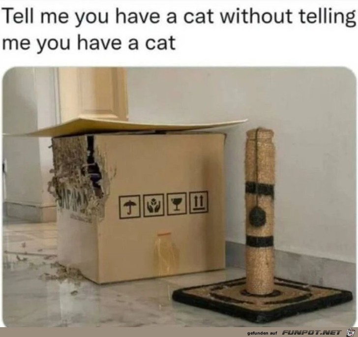 Du hast eine Katze