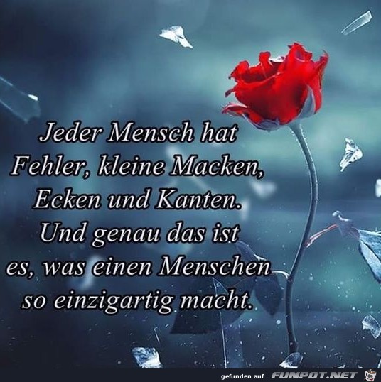 Jeder Mensch hat Fehler