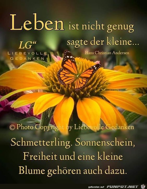 Leben ist nicht genug sagt der kleine