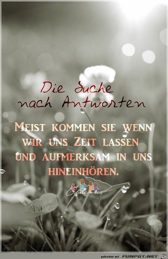 Die Suche nach Antworten