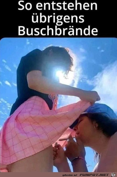 Buschbrnde