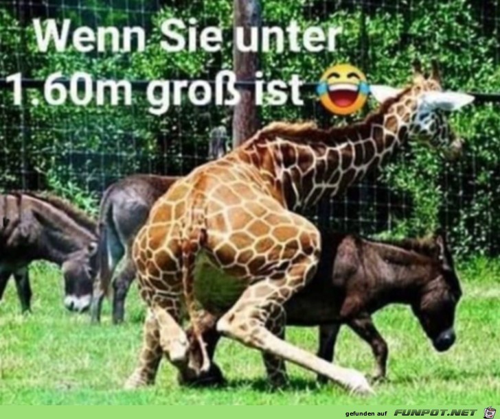 Das Problem mit der Gre