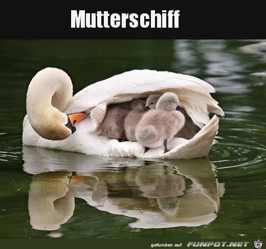 Ein Mutterschiff