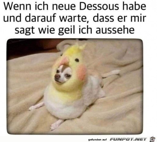 Hbsch angezogen