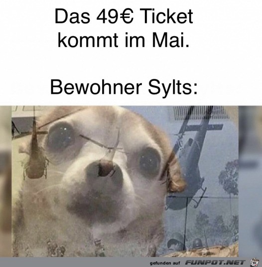 Das 49-Euro-Ticket