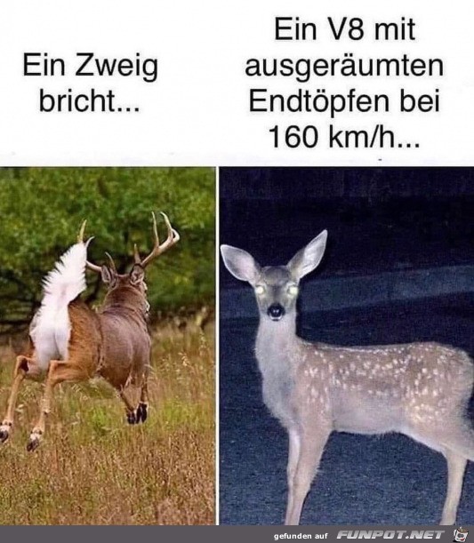 Das ist komisch