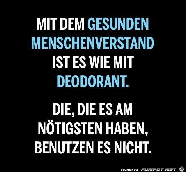 Menschenverstand