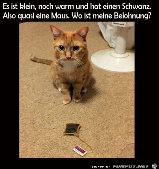 Wo ist meine Belohnung?