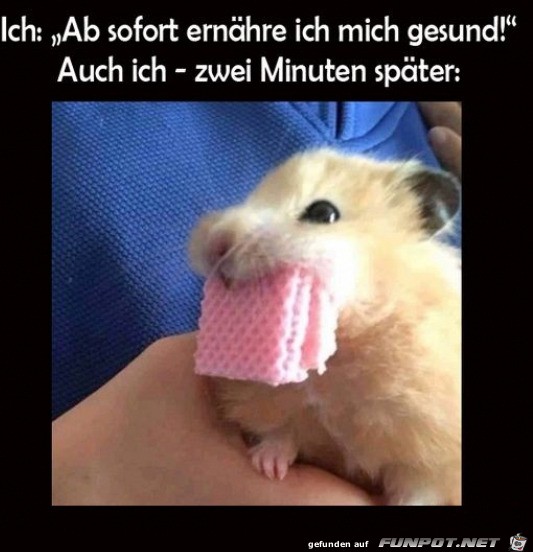 Gesunde Ernährung Gesunde Ernährung