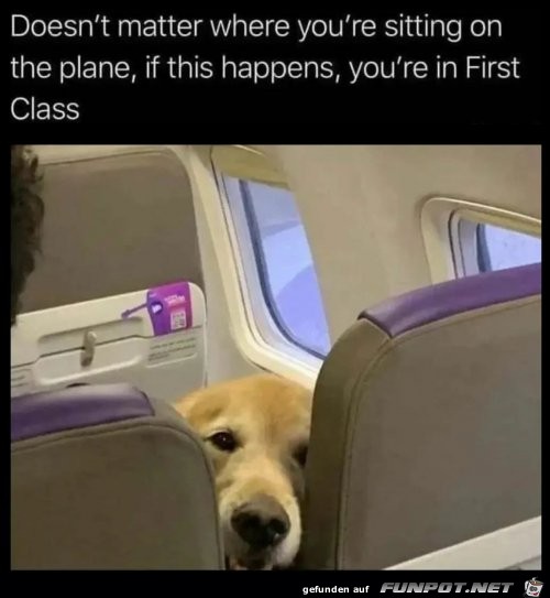 Egal wo du im Flieger sitzt - das ist First Class