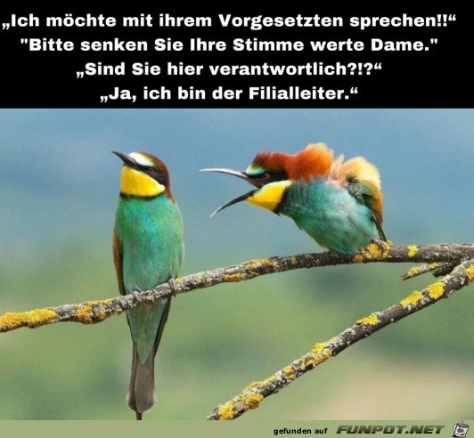 witzige Bilder aus verschiedenen Blogs