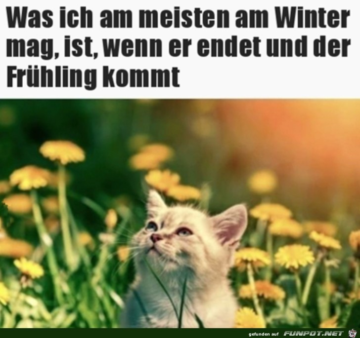 Ich freu mich auf den Frhling