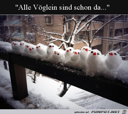 Schnee-Vgelchen