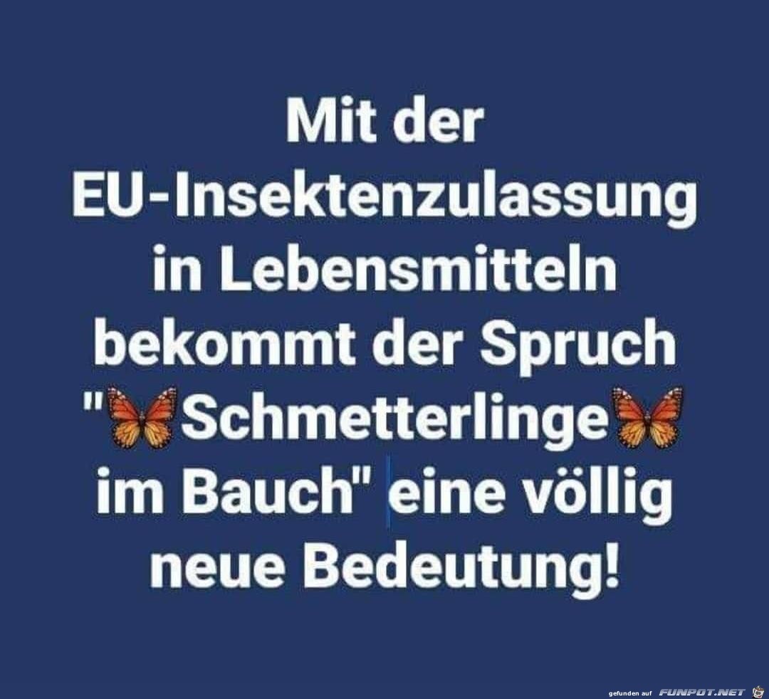 Schmetterlinge