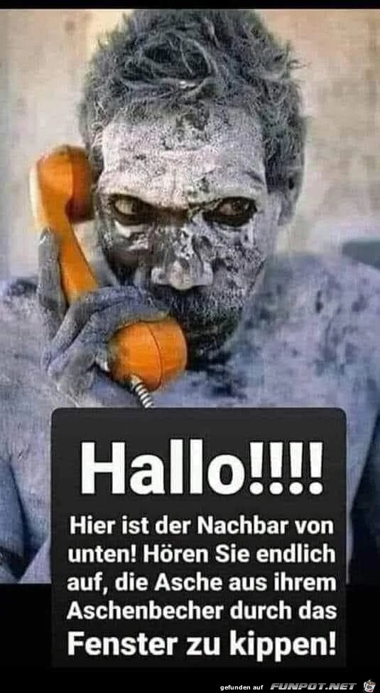 Hallo