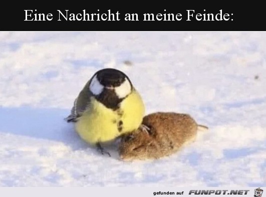 Nachricht an meine Feinde