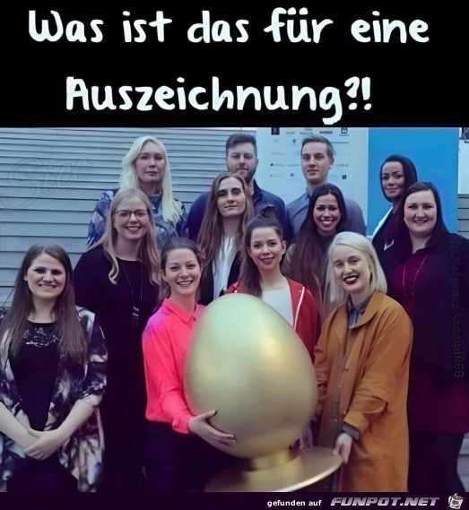 witzige Bilder aus verschiedenen Blogs