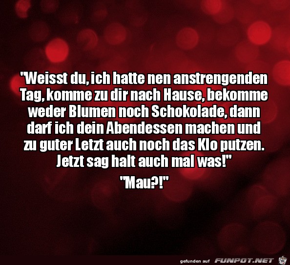 Anstrengender Tag Anstrengender Tag