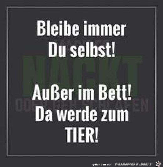 Ausser im Bett Ausser im Bett