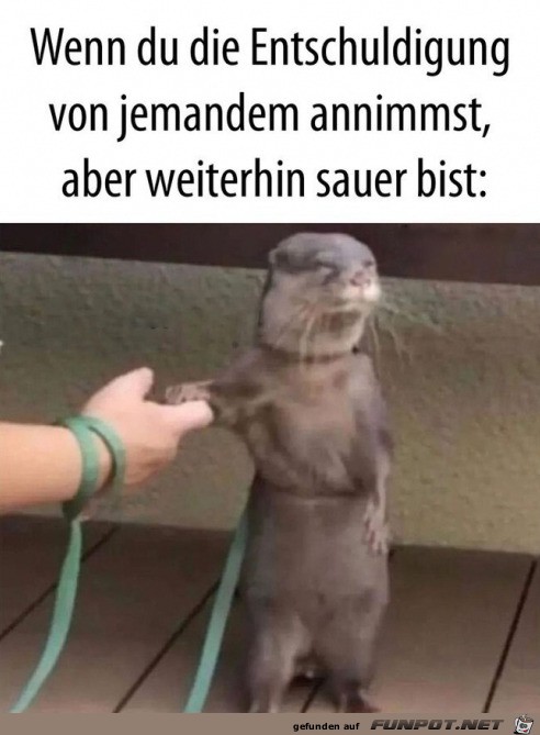 Immer noch sauer