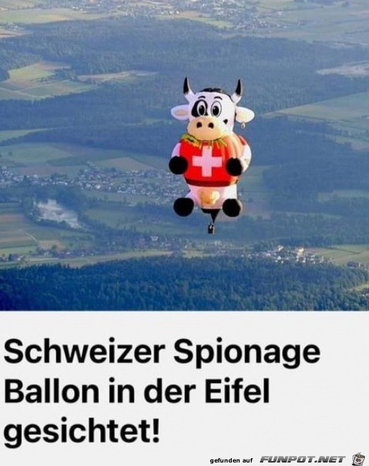 Lustiger Ballon