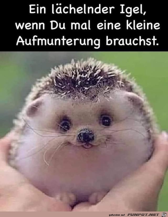 Aufmunterung