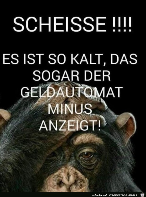 Scheisse Scheisse