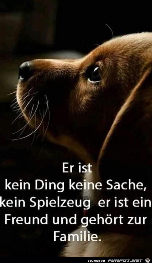 Kein Ding