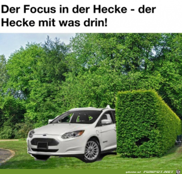 In der Hecke