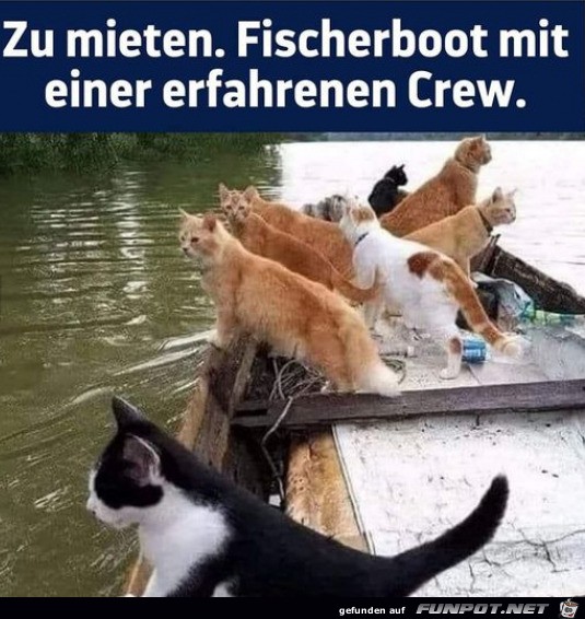 Fischerboot mit erfahrener Crew