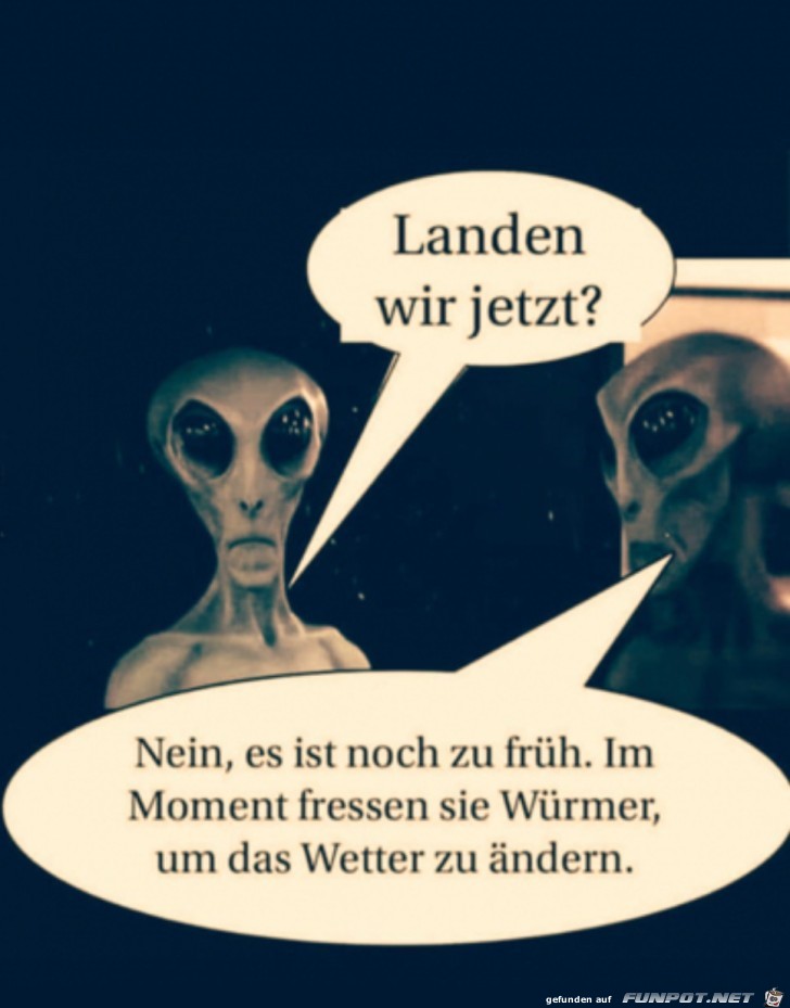 Jetzt kann man nicht landen